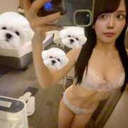 ヒメ日記 2025/09/03 23:04 投稿 ひめの★元祖清楚女子アナ系美女 Bell～S級美女お姉様・人妻デリヘル～