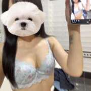 ヒメ日記 2025/09/11 07:04 投稿 ひめの★元祖清楚女子アナ系美女 Bell～S級美女お姉様・人妻デリヘル～