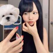 ヒメ日記 2025/09/14 15:04 投稿 ひめの★元祖清楚女子アナ系美女 Bell～S級美女お姉様・人妻デリヘル～