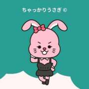 ヒメ日記 2025/09/21 06:25 投稿 ひめの★元祖清楚女子アナ系美女 Bell～S級美女お姉様・人妻デリヘル～