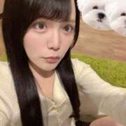 ヒメ日記 2025/10/23 20:45 投稿 ひめの★元祖清楚女子アナ系美女 Bell～S級美女お姉様・人妻デリヘル～