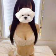 ヒメ日記 2025/11/20 15:08 投稿 ひめの★元祖清楚女子アナ系美女 Bell～S級美女お姉様・人妻デリヘル～