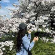 ヒメ日記 2025/10/19 01:12 投稿 もも Charme（シャルム）