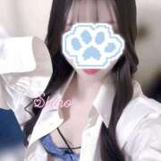 ヒメ日記 2025/06/26 14:47 投稿 黒井 しろ ホットアロマ