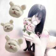 ヒメ日記 2025/07/04 20:07 投稿 黒井 しろ ホットアロマ