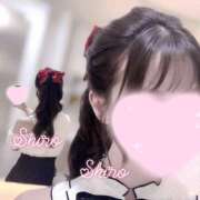 ヒメ日記 2025/07/20 13:17 投稿 黒井 しろ ホットアロマ