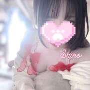 ヒメ日記 2025/07/31 12:38 投稿 黒井 しろ ホットアロマ