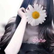 ヒメ日記 2025/08/27 03:58 投稿 黒井 しろ ホットアロマ