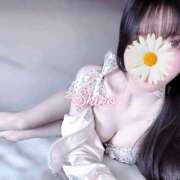 ヒメ日記 2025/10/10 17:27 投稿 黒井 しろ ホットアロマ