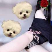 ヒメ日記 2025/10/22 21:22 投稿 黒井 しろ ホットアロマ