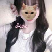 ヒメ日記 2025/10/26 01:33 投稿 黒井 しろ ホットアロマ