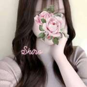 ヒメ日記 2025/11/16 21:07 投稿 黒井 しろ ホットアロマ