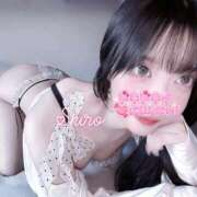 ヒメ日記 2025/11/19 21:09 投稿 黒井 しろ ホットアロマ