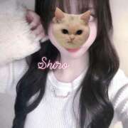 ヒメ日記 2025/11/25 02:06 投稿 黒井 しろ ホットアロマ