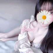 ヒメ日記 2025/12/29 22:41 投稿 黒井 しろ ホットアロマ