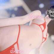 ヒメ日記 2026/02/14 00:51 投稿 黒井 しろ ホットアロマ