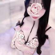 ヒメ日記 2026/02/24 06:01 投稿 黒井 しろ ホットアロマ