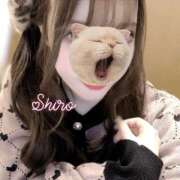 ヒメ日記 2026/02/25 23:42 投稿 黒井 しろ ホットアロマ