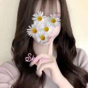 ヒメ日記 2026/04/17 01:55 投稿 黒井 しろ ホットアロマ