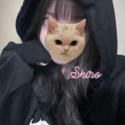 黒井 しろ 向かってます🐈‍⬛🎀 ホットアロマ