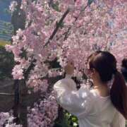 ヒメ日記 2025/07/07 21:00 投稿 まお 今こそ!にゃんにゃん学園