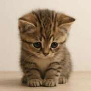 ヒメ日記 2025/10/29 19:06 投稿 かぐら イエローキャブ