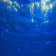 ヒメ日記 2025/07/06 18:43 投稿 れい ぷよステーション大宮店