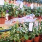 ヒメ日記 2025/07/06 10:02 投稿 早見 鶯谷ワンハート