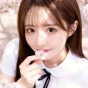 ヒメ日記 2026/04/30 06:09 投稿 きょうか いきなりラブ彼女