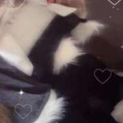 ヒメ日記 2025/12/24 17:46 投稿 さえ チェリー新宿店