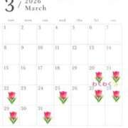 ヒメ日記 2026/03/06 07:00 投稿 えま チェリー新宿店