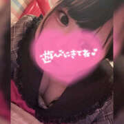 ヒメ日記 2025/07/12 01:18 投稿 ねね 鎌倉御殿 新館