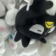 ヒメ日記 2026/02/17 10:28 投稿 まむ リアル 日本橋店