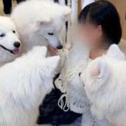 ヒメ日記 2025/11/17 09:20 投稿 まむ リアル難波店