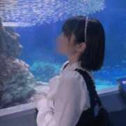 ヒメ日記 2026/07/18 10:50 投稿 まむ リアル難波店