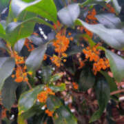 ヒメ日記 2025/10/24 16:11 投稿 葉月ひな 美魔女エステ