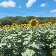 ヒメ日記 2025/08/14 21:29 投稿 なの 新宿プチドール