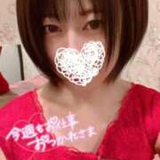 ヒメ日記 2025/11/14 13:11 投稿 なの 新宿プチドール