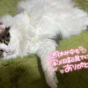 ヒメ日記 2026/03/03 20:09 投稿 なの 新宿プチドール