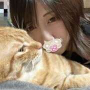 ヒメ日記 2026/04/08 19:09 投稿 なの 新宿プチドール