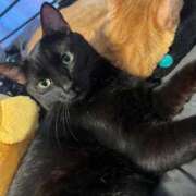 なの ( *¯ ꒳¯*)💕 新宿プチドール