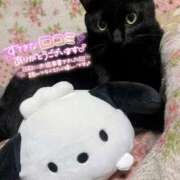 ヒメ日記 2026/09/23 22:29 投稿 なの 新宿プチドール