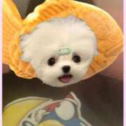 ヒメ日記 2025/07/02 23:12 投稿 れのあ ホワイトハウス