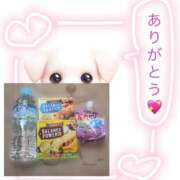 ヒメ日記 2025/10/01 19:18 投稿 れのあ ホワイトハウス