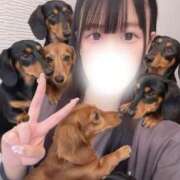 れのあ みんなが居るかられのあも ホワイトハウス