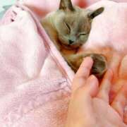 ヒメ日記 2025/07/03 00:33 投稿 あお 熟女総本店