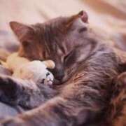 ヒメ日記 2025/07/13 15:07 投稿 あお 熟女総本店