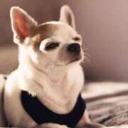 ヒメ日記 2025/07/25 08:55 投稿 あお 熟女総本店