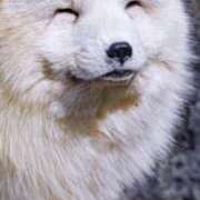 ヒメ日記 2025/08/16 22:15 投稿 あお 熟女総本店