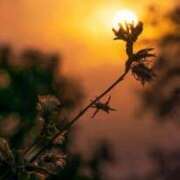 ヒメ日記 2025/08/31 19:05 投稿 あお 熟女総本店